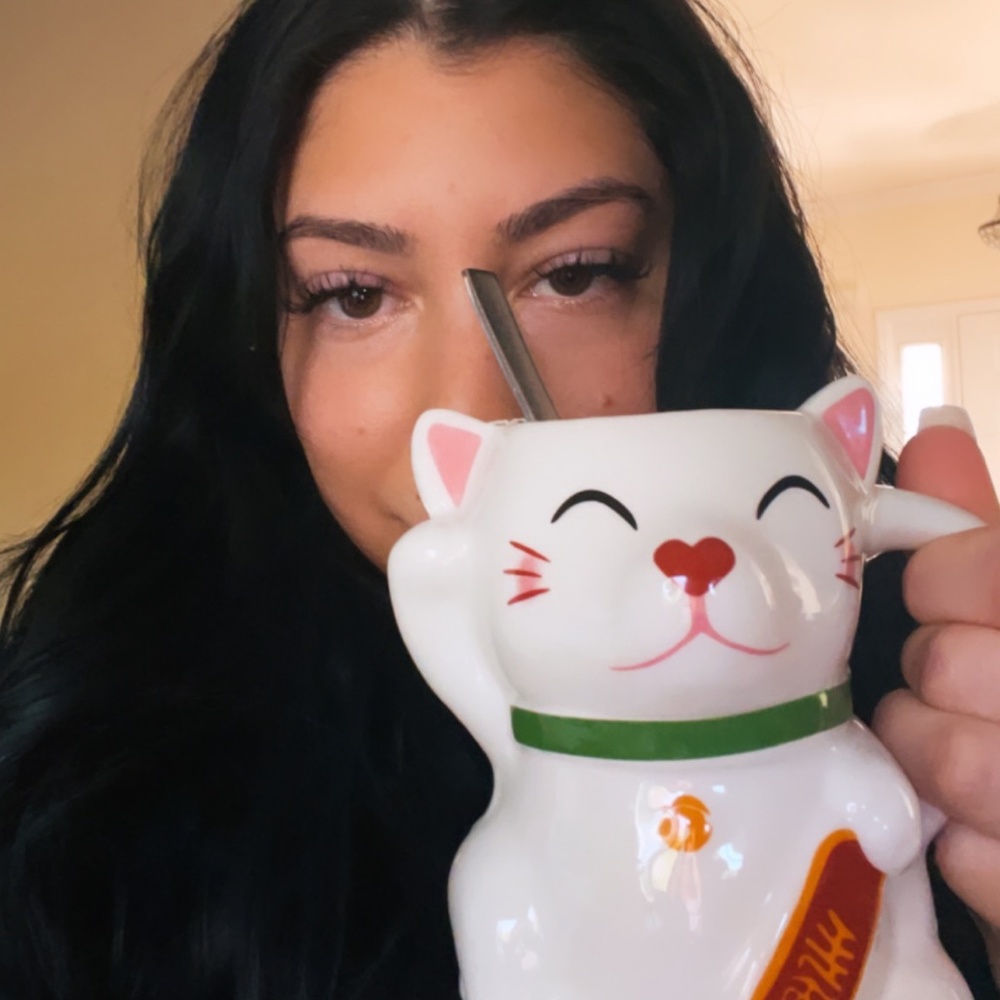 Meet your Posher, Chayei